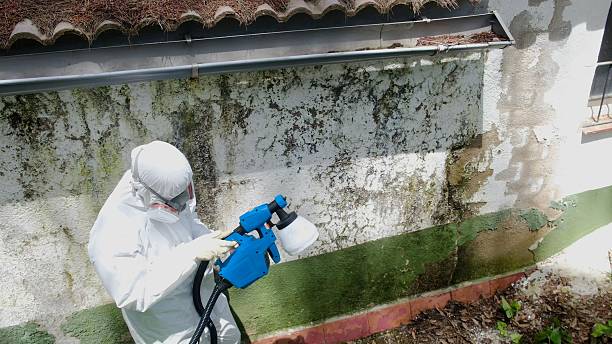 Top rated local Mold Remediation specialists in Clinton, TN